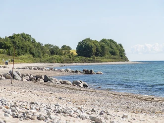 langholz_Ostsee.jpg