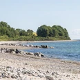 langholz_Ostsee.jpg