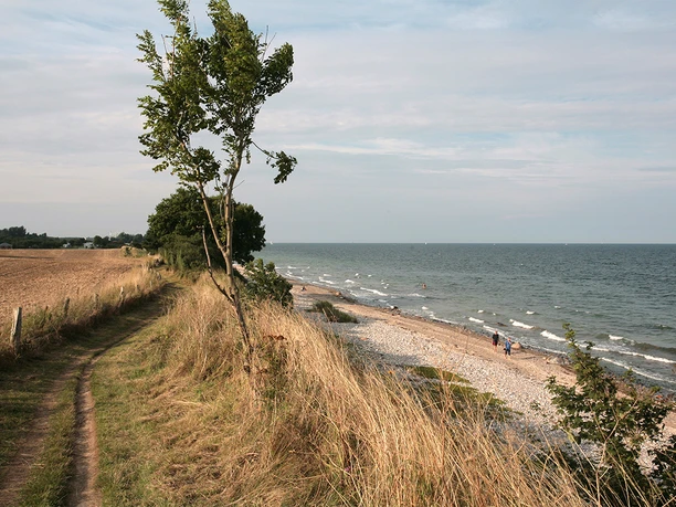 strand-in-waabs-mit-wanderweg.jpg