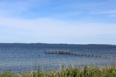 strand-norgaardholz.jpg
