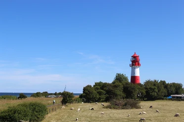 falshoeft-leuchtturm.jpg