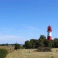 falshoeft-leuchtturm.jpg