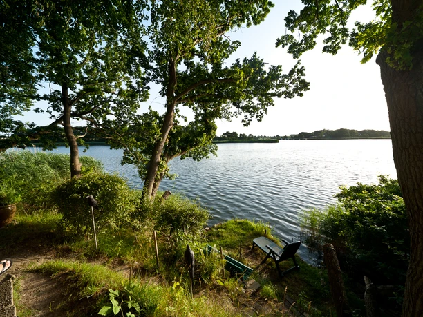 campingplatz-lindaunis-wald.jpg