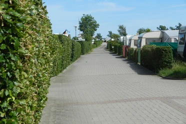 campingplatz-dorotheental-damp.jpg