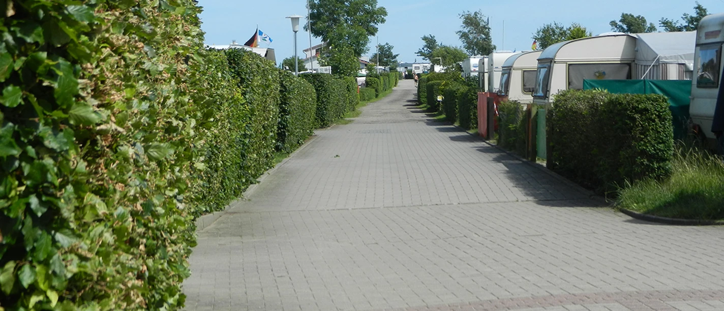 campingplatz-dorotheental-damp.jpg