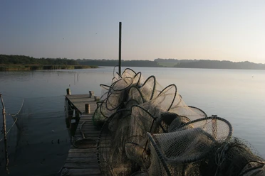 fischernetze-an-der-schlei.jpg