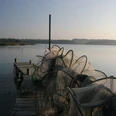 fischernetze-an-der-schlei.jpg