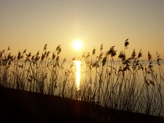ferienhof-fraulund-sonnenuntergang.JPG