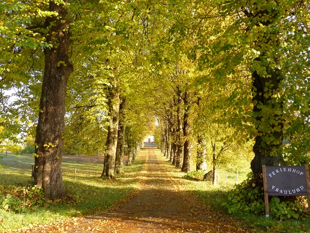 ferienhof-fraulund-einfahrt.JPG