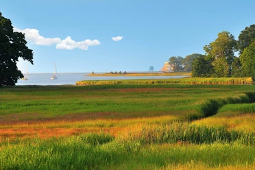 naturpark-schlei-natur.JPG