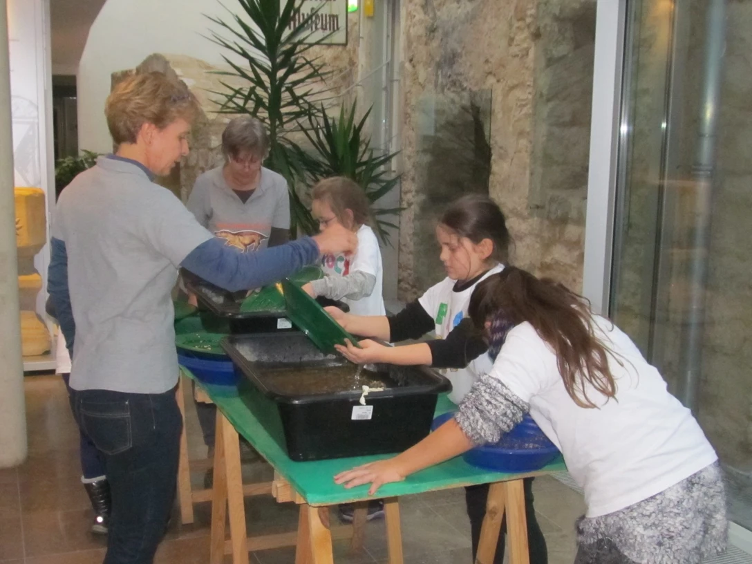 Goldsucher (Nr. 13).JPG