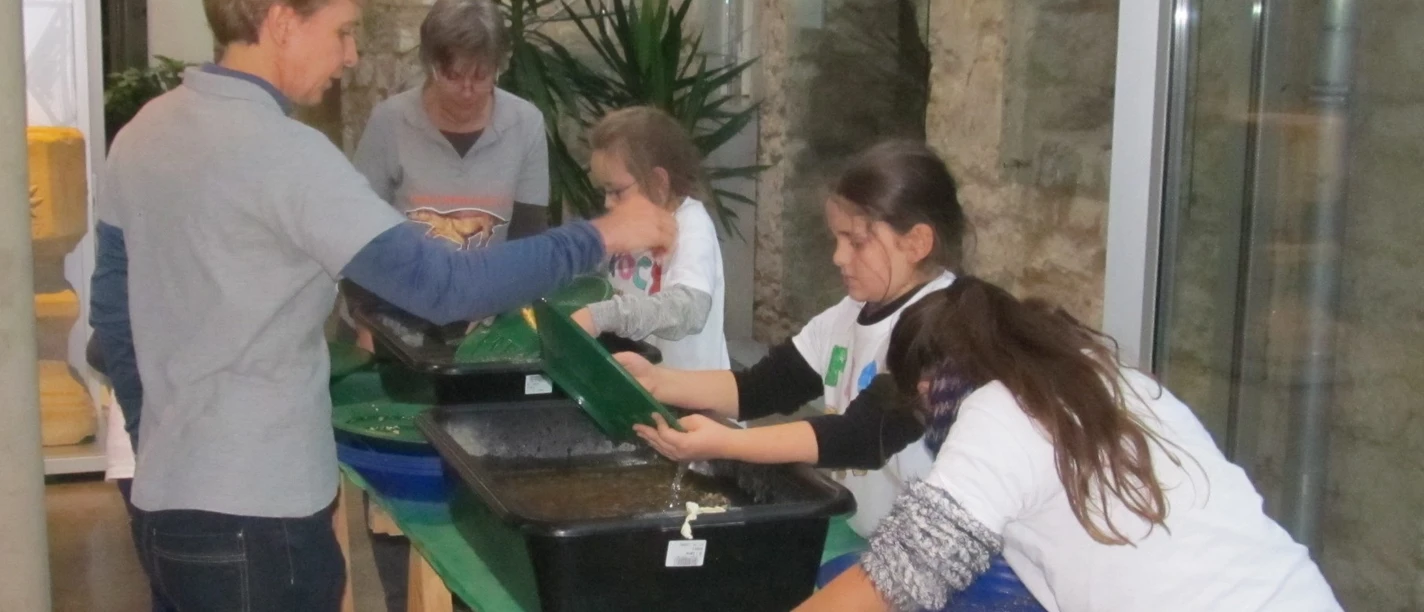 Goldsucher (Nr. 13).JPG