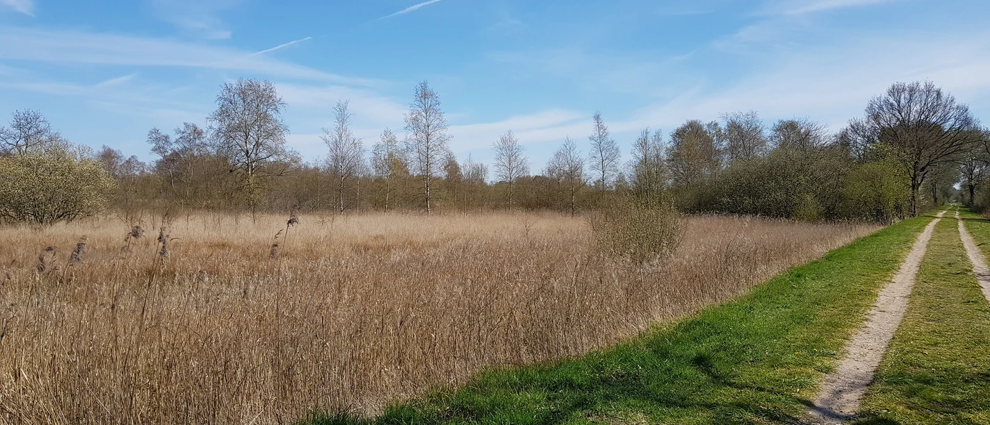 Bahndamm der ehemaligen Norderdithmarscher Kleinbahn