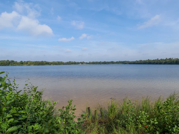 Bockhorster See Ruhiger See mit klarem Wasser, umgeben von grünen Büschen und Bäumen unter leicht bewölktem Himmel.