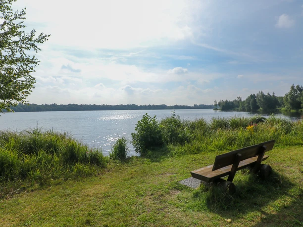 bockhorster-see-emsland-tourismus-gmbh-birgit-janknecht-2 Holzbank am Seeufer mit Blick auf das glitzernde Wasser und grüne Ufervegetation im Sonnenschein