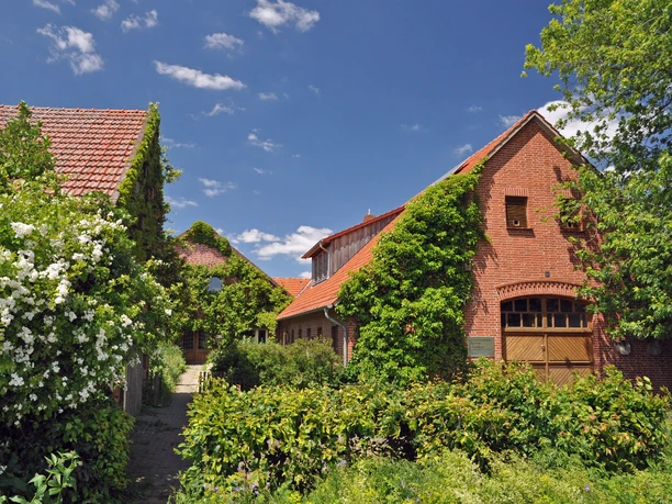 Naturschutzstation Dümmer