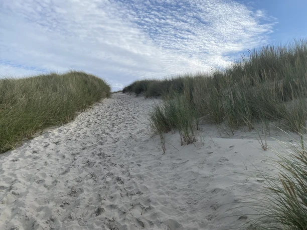 Strandaufgang Otto Leege Pfad.jpg Strandaufgang Otto Leege Pfad