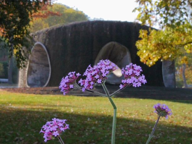 SolePark und SoleArena