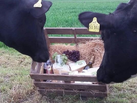 milchtankstelle-anna-schlukat