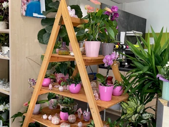 Floristik im Café Flora Mölln Floristik im Café Flora Mölln