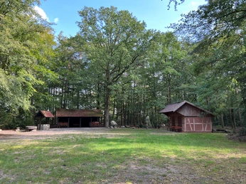 Heidepark Essern Grüne Lichtung im Wald mit zwei rustikalen Holzhütten und hohen Bäumen umgeben.