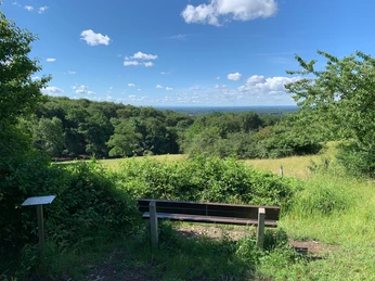 Sitzbank Haferbrede Grüne Parkbank mit Blick auf bewaldete Hügel und blühende Wiesen unter einem blauen Himmel.