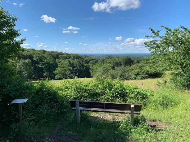 Sitzbank Haferbrede Grüne Parkbank mit Blick auf bewaldete Hügel und blühende Wiesen unter einem blauen Himmel.