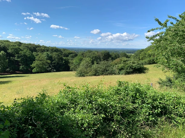 Aussicht Haferbrede Grüne Wiesen mit dichtem Gebüsch, dahinter ein Wald unter blauem Himmel mit lockeren Wolken.