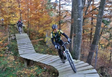 Woodtrail