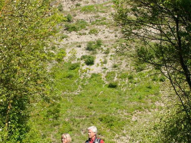 Wanderer direkt unter Eberschützer Klippen Zwei Wanderer mit Wanderstöcken spazieren auf einem Pfad, umgeben von grünen Eberschützer Klippen.