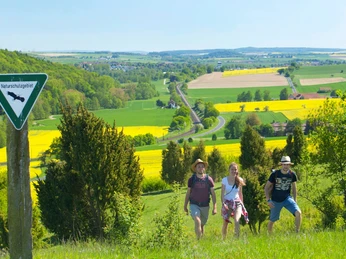 Wanderer an Dingel - Blick in Schießbach/Hofgeismar Drei Wanderer gehen durch grünes Hügelland mit weiten, blühenden Rapsfeldern im Hintergrund.