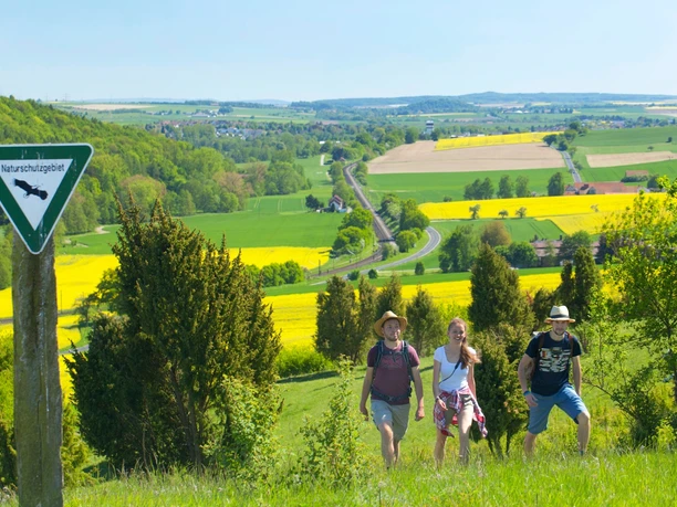Wanderer an Dingel - Blick in Schießbach/Hofgeismar Drei Wanderer gehen durch grünes Hügelland mit weiten, blühenden Rapsfeldern im Hintergrund.