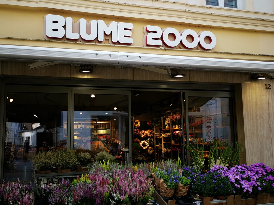 Blume 2000.jpg Das Bild zeigt den Eingangsbereich des Geschäfts Blume 2000