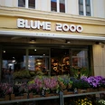 Blume 2000.jpg Das Bild zeigt den Eingangsbereich des Geschäfts Blume 2000