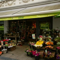 Das Bild zeigt den Eingangsbereich des Geschäfts Blumen Risse
