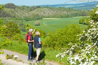 Wanderer bei Lamerden blicken auf Bunten Berg Eberschütz Zwei Wanderer betrachten eine weitläufige Landschaft mit grünen Feldern und bewaldeten Hügeln.