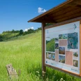 Infotafel am Kalkberg Infotafel inmitten einer grünen Wiese, die über Flora und Fauna am Kalkberg informiert.
