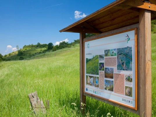 Infotafel am Kalkberg Infotafel inmitten einer grünen Wiese, die über Flora und Fauna am Kalkberg informiert.