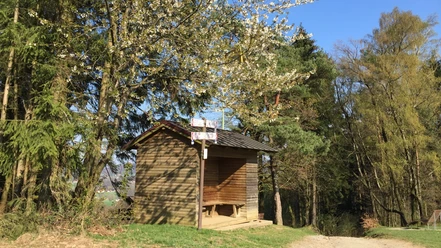 Almwiese_Borgberg_Hagen-a.T.W.