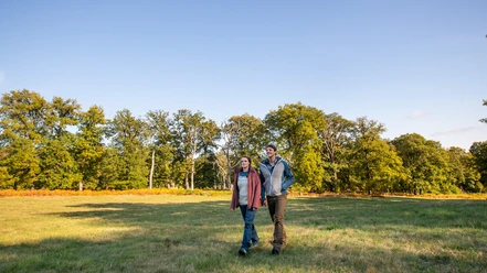 reinhardswald_naturpark-reinhardswald-paavoblafield