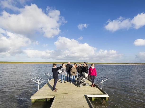 Langwarder_Groden_Fuehrung_Nordsee_Butjadingen_Langwarden.jpg