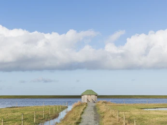 Langwarder_Groden_Huette_Nordsee_Butjadingen_Langwarden.jpg
