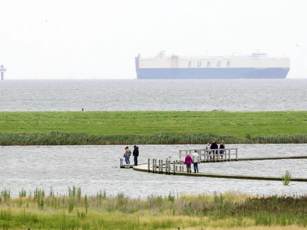 Langwarder_Groden_Schiff_Nordsee_Butjadingen_Langwarden.jpg