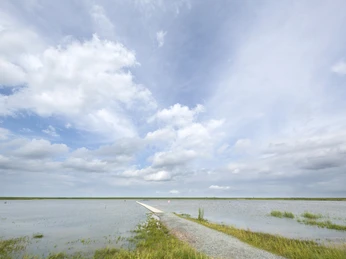 Langwarder_Groden_Weg_Nordsee_Butjadingen_Langwarden.jpg