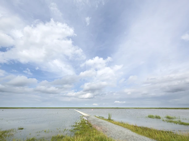 Langwarder_Groden_Weg_Nordsee_Butjadingen_Langwarden.jpg
