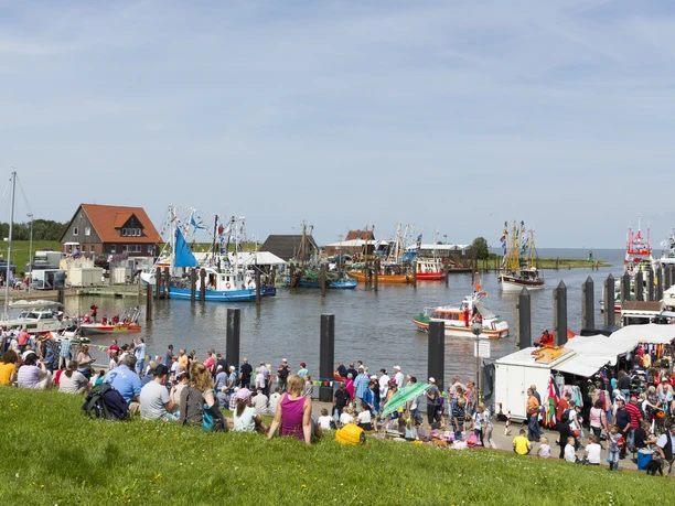 Kutterhafen_Regatta_Nordsee_Butjadingen_Fedderwardersiel.jpg