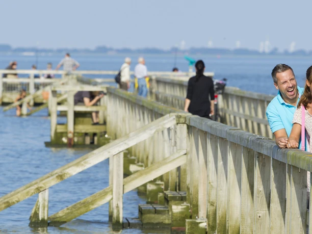Wattensteg_Nordsee_Butjadingen_Burhave.jpg