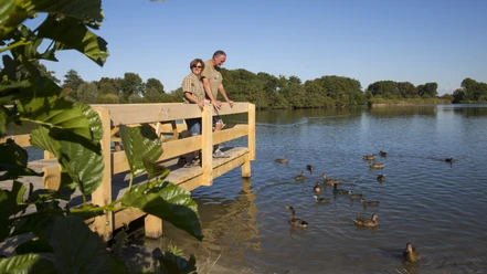 Puetten_Enten_Nordsee_Butjadingen_Tossens.jpg