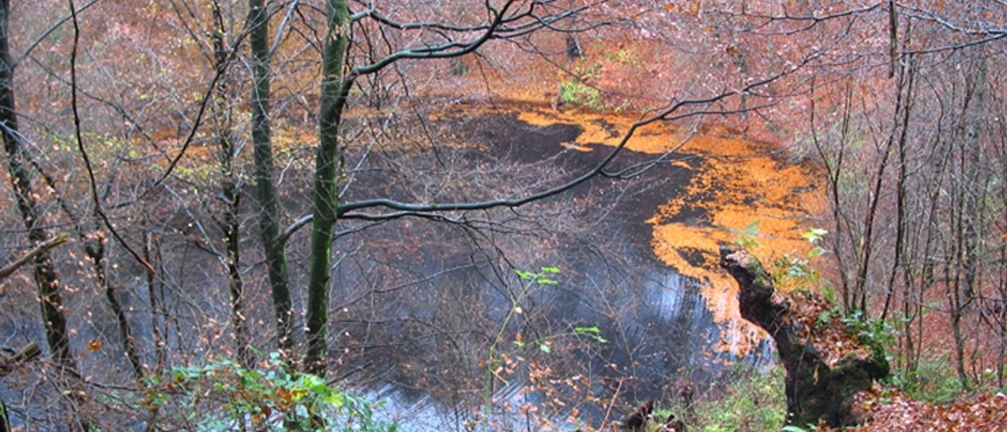 trendelburg_naturdenkmal-nasser-wolkenbruch_harald-schmidt