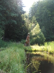 frau_holle_am_frau-holle-teich-c-geo-nat-1